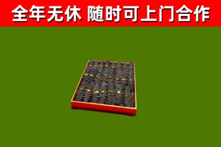 宝山回收海参